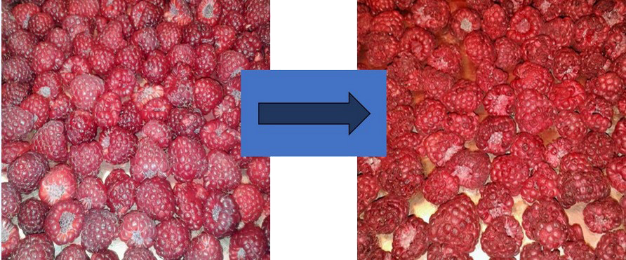 Freeze dryed raspberry