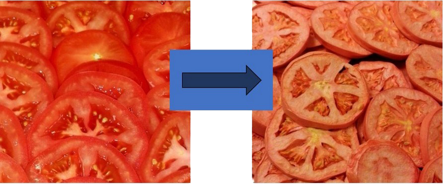 Freeze dryed tomatoes