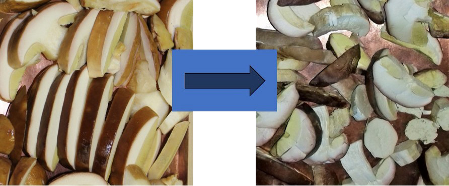 Sublimated mushrooms